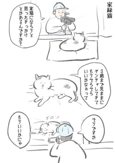 (5/6) 