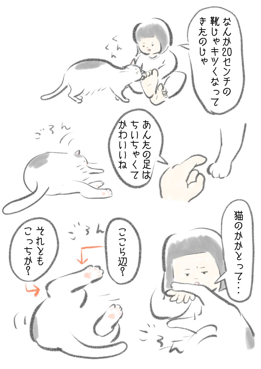 (6/6) 