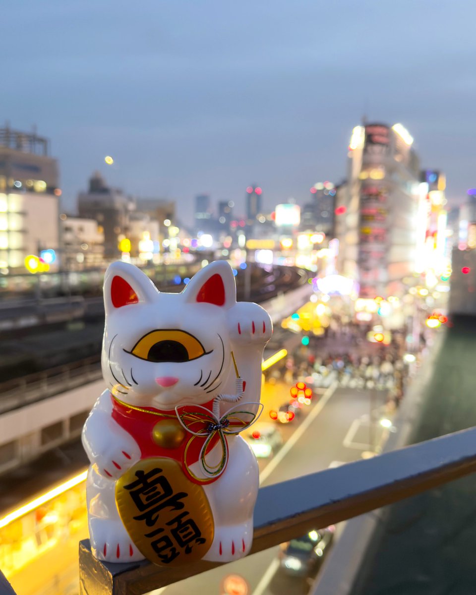 さよにゃら上野 #真頭玩具 #リアルヘッド #realhead #realxhead