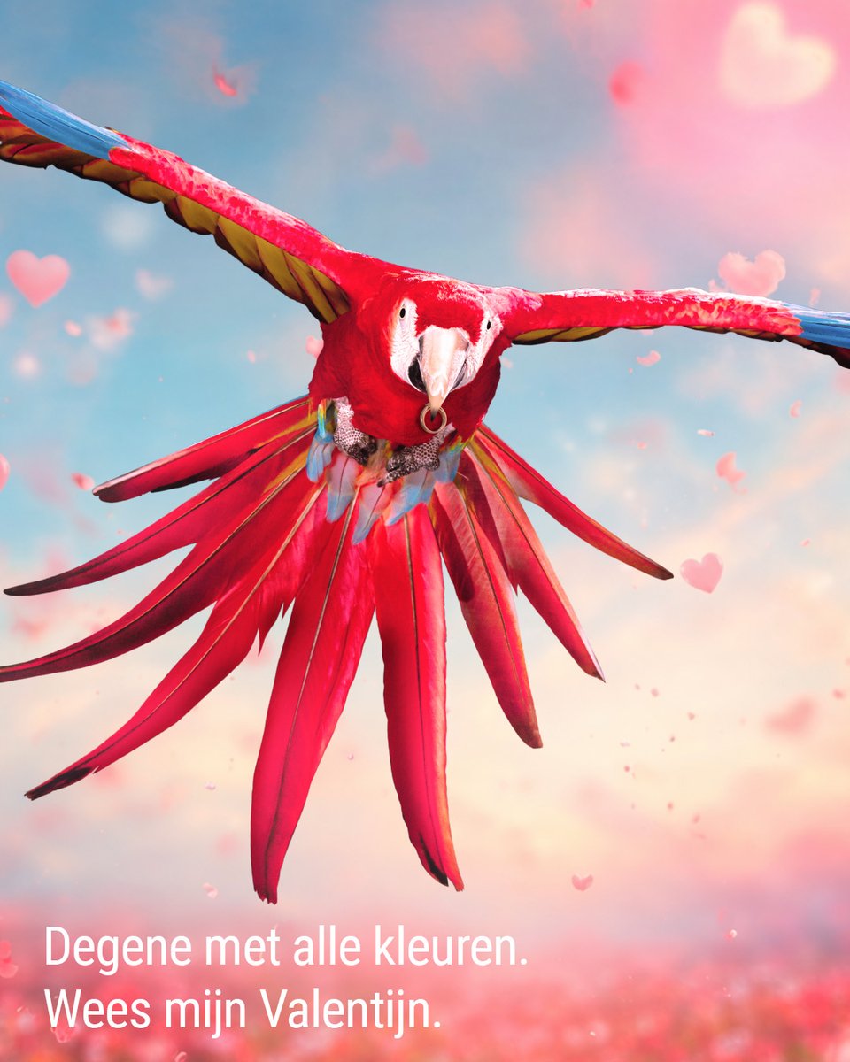 Glasurit Nederland tweet media