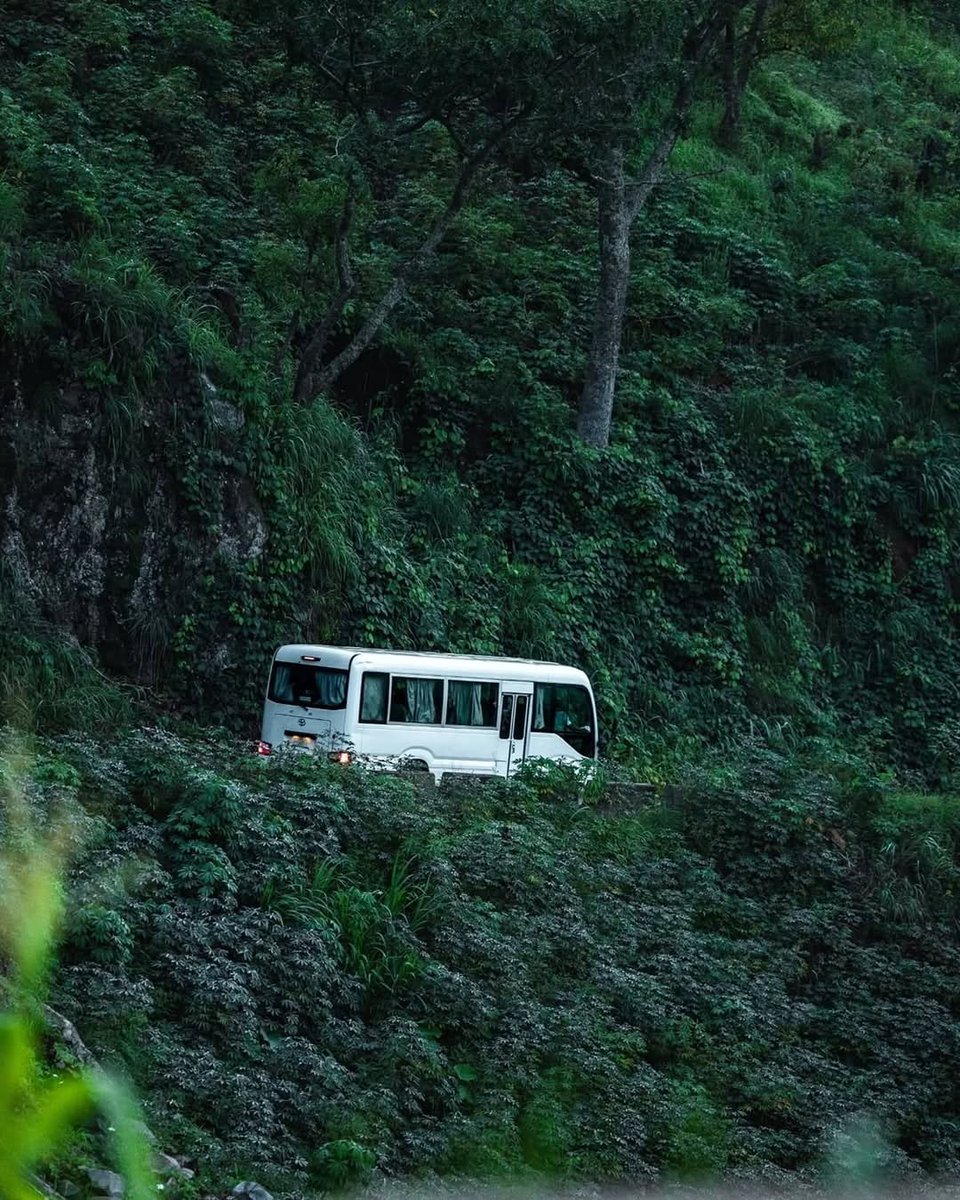 Take a Trip To Obudu Cattle Ranch to enjoy the beauty of Nature. 

📷Dabelle 2018