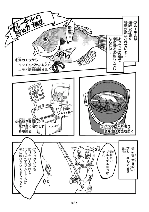 (3/6) 