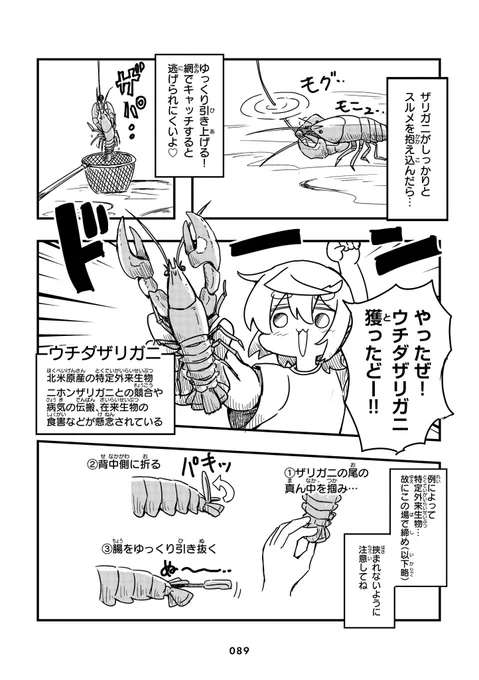 (4/6) 