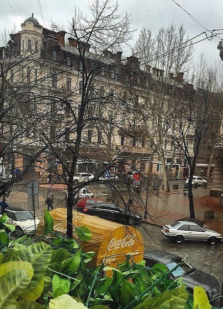 Катерина Галич tweet media