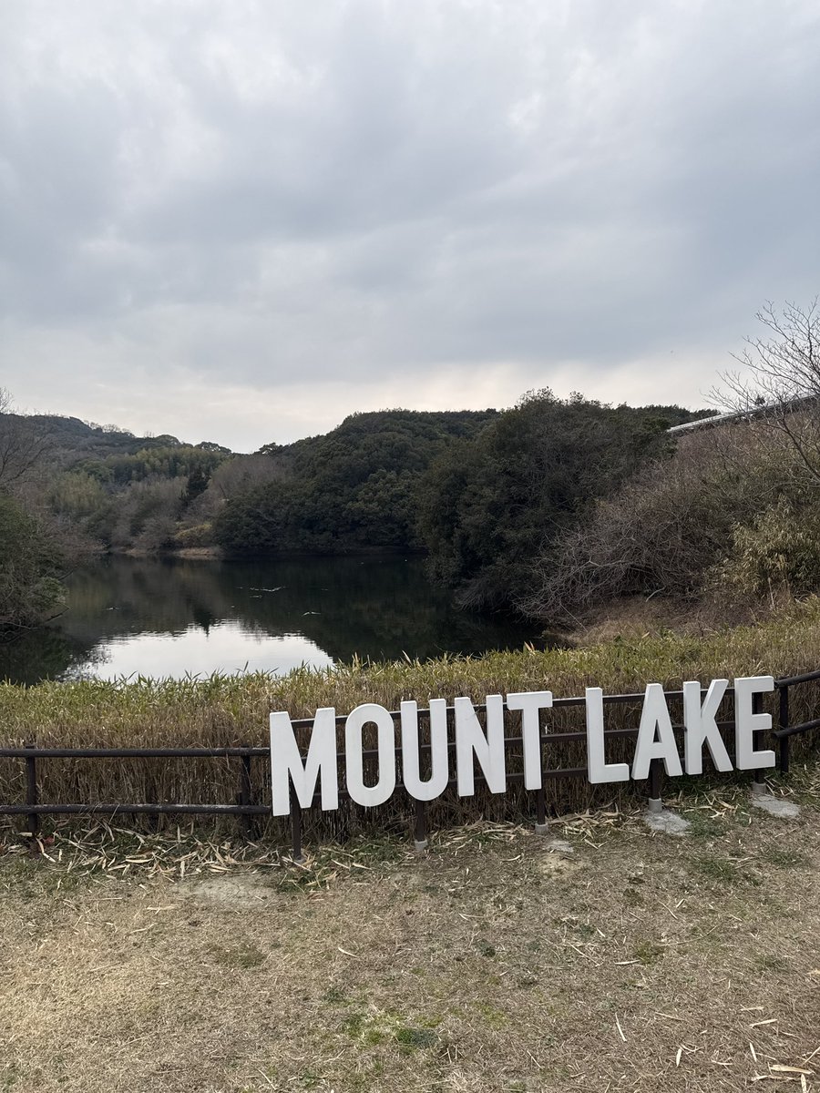 itopigg's tweet photo. キャンプ🏕️ https://t.co/HimzAV7Z1N