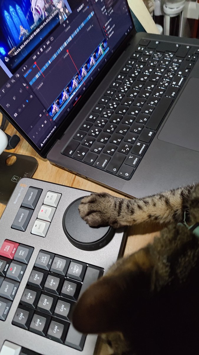 sabamirinV's tweet photo. えぴななバレンタイン月影100連+αをしたので久々に動画編集でもしようかと思ったのですが
弊社スタッフにより機材が執拗なまでにボコされる👊😼ので少し断念しかけています… https://t.co/J2wjDofLjs