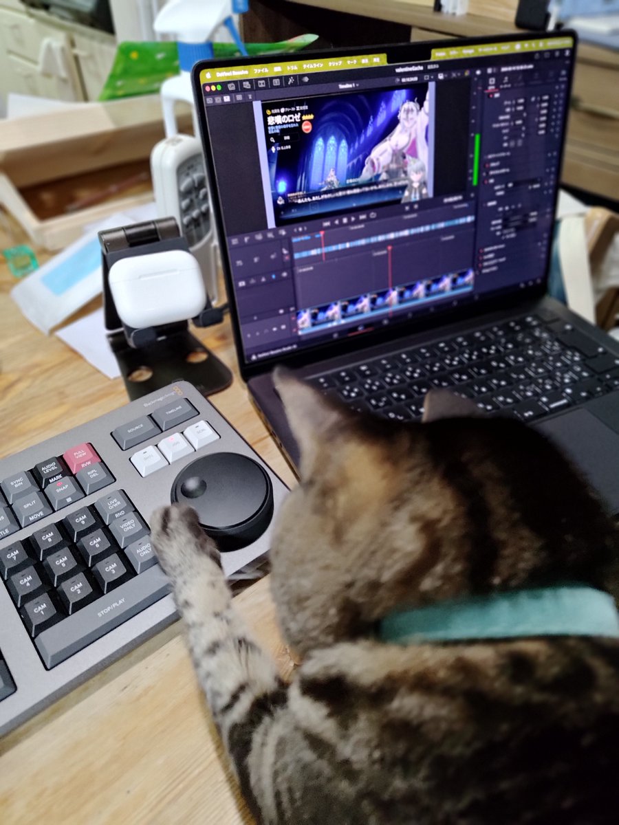 sabamirinV's tweet photo. えぴななバレンタイン月影100連+αをしたので久々に動画編集でもしようかと思ったのですが
弊社スタッフにより機材が執拗なまでにボコされる👊😼ので少し断念しかけています… https://t.co/J2wjDofLjs