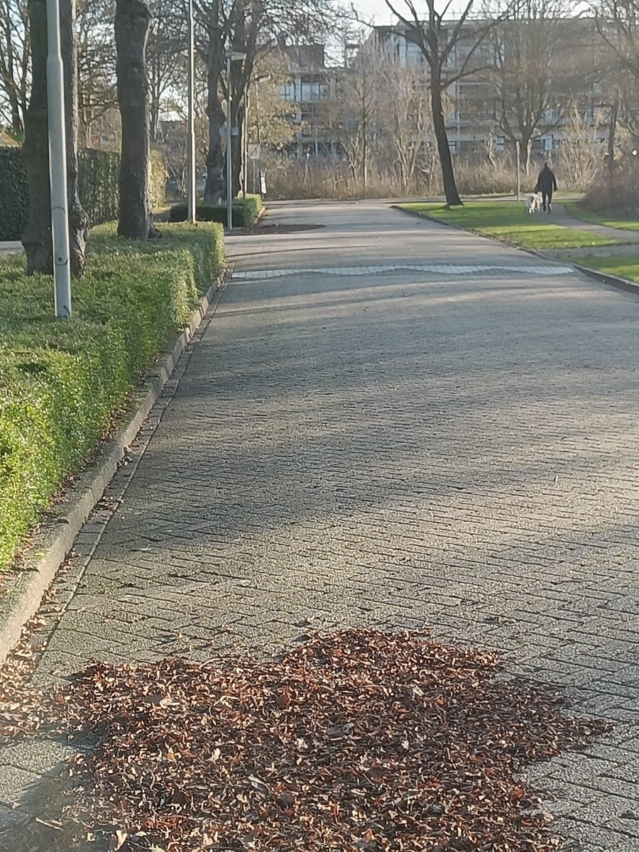 Arnold van Wijnbergen 👨🏻‍💻🇳🇱 tweet media