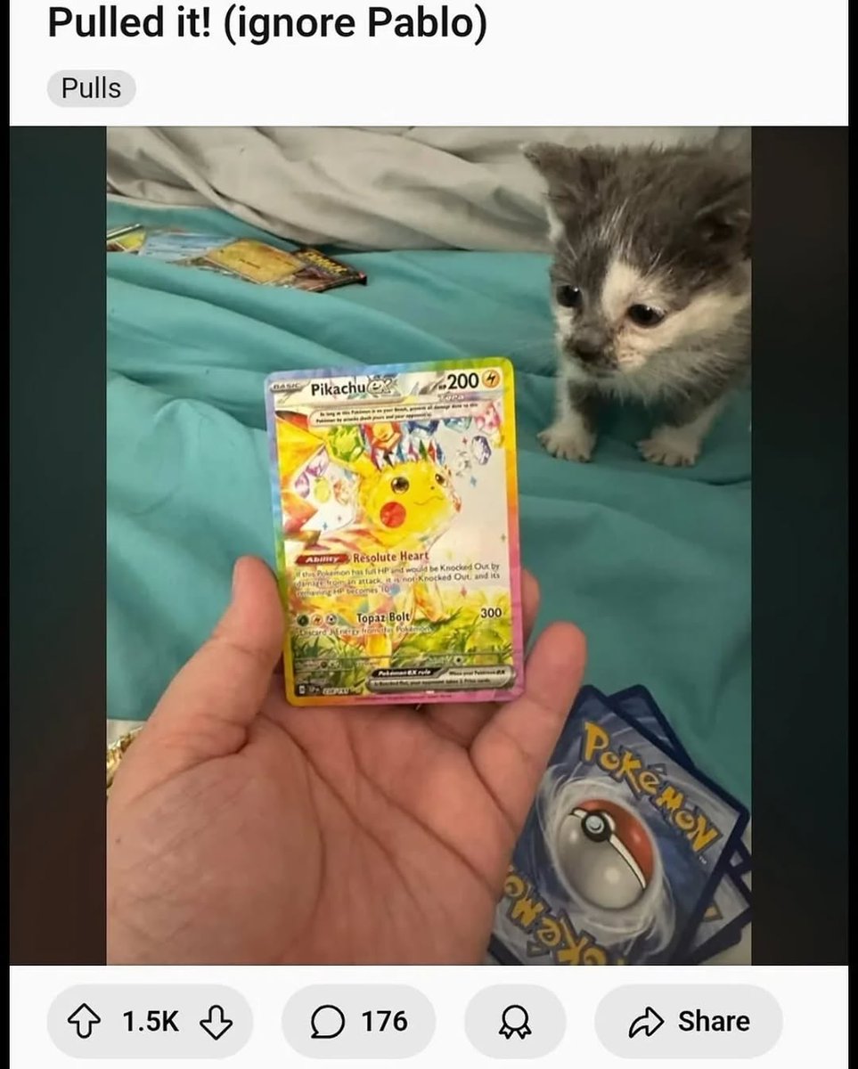 redditbutfunny's tweet image. 