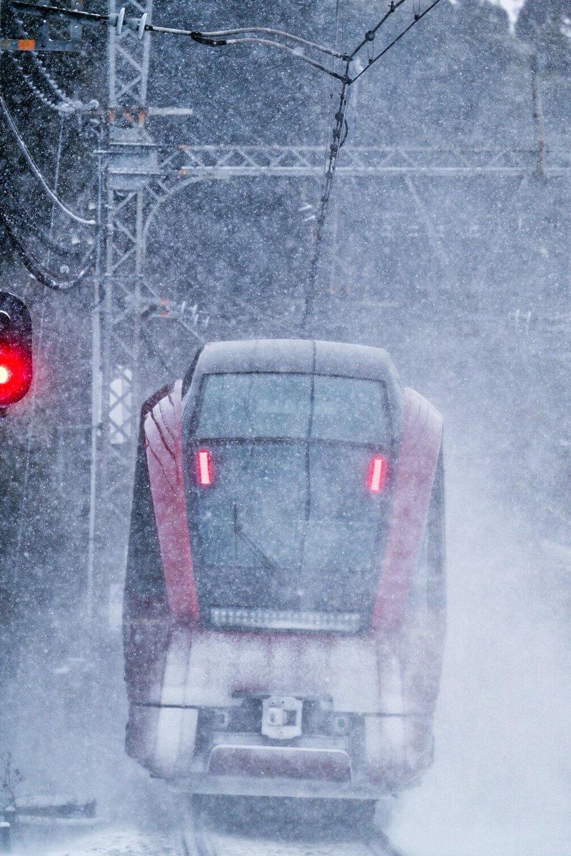 頑張って撮ったので見て欲しい