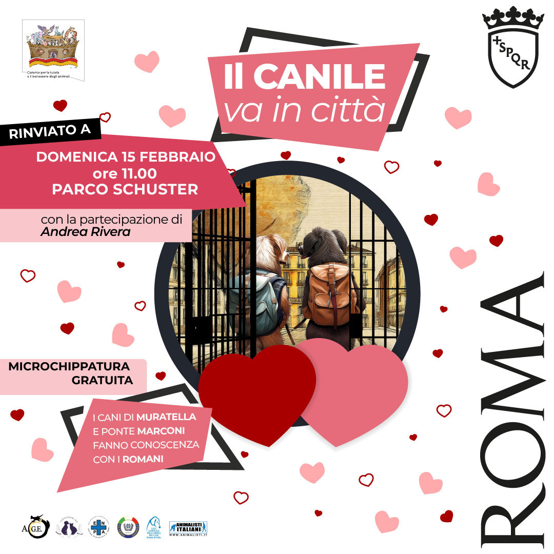 🐶💞 “Il canile va in città” torna per San Valentino! Domenica 15 febbraio, ore 11, Parco Schuster: 25 cani in cerca di famiglia, microchippatura gratuita e “adozioni del cuore”.

Info 👉 ow.ly/yUgT50Yf0NQ