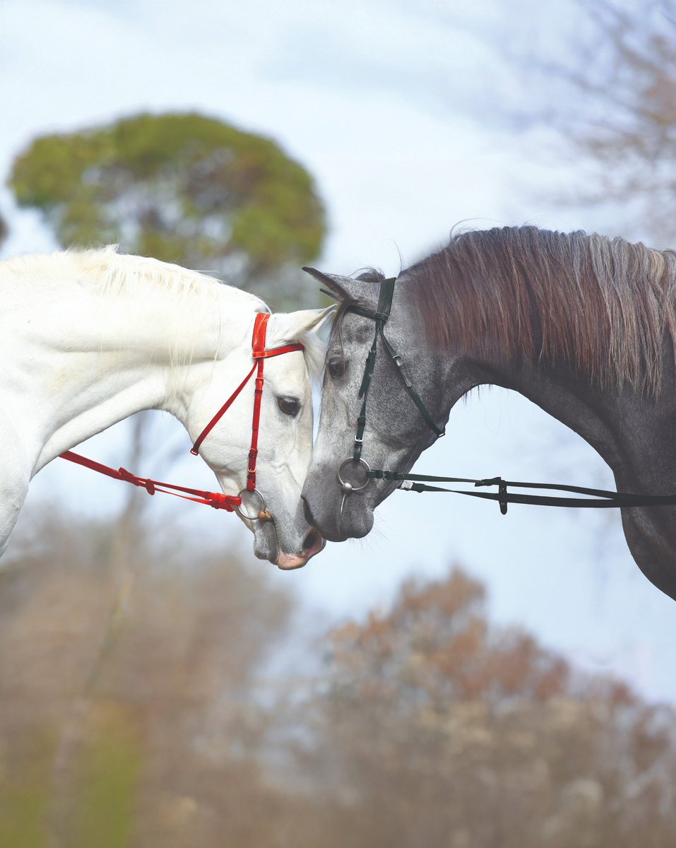 Sevgiyle anlam kazanan her an, paylaşmaya değerdir.
Sevginin hayatınızın her anına eşlik etmesi dileğiyle…