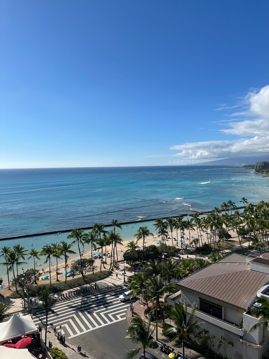 DEMO_RANMA's tweet photo. 🏝️🌺 https://t.co/MEcX2AuTNA