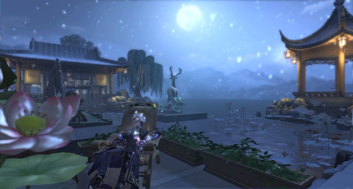 Pretending im good at taking photos