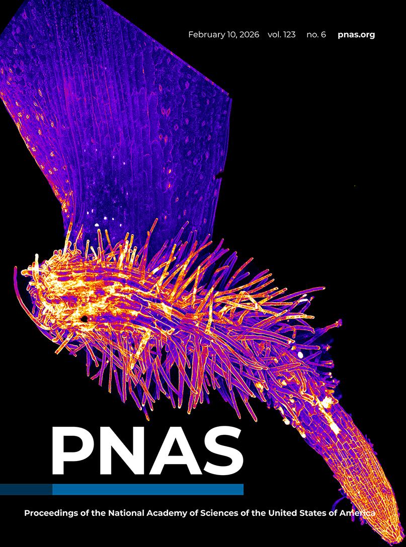 Kalika Prasad @kalikaprasad.bsky.social tweet media