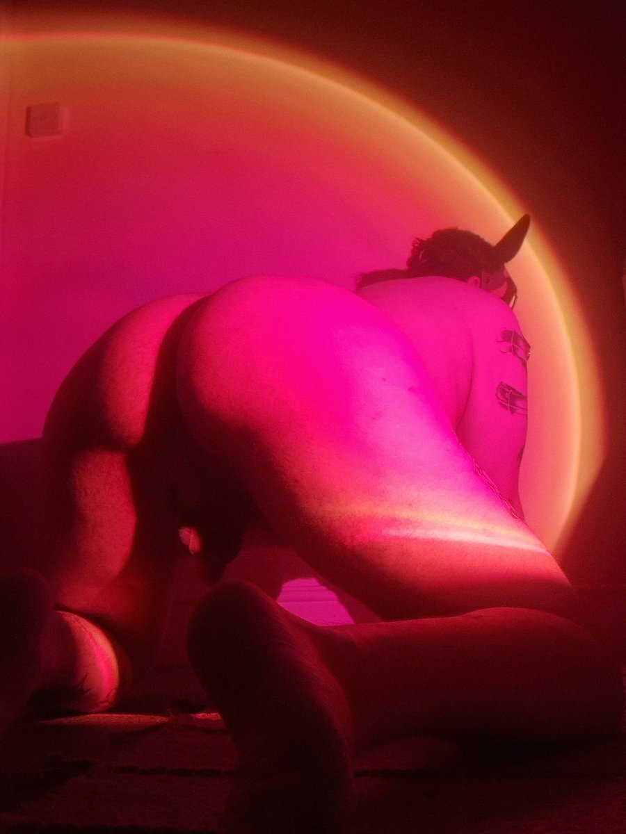 Pup Nimo ✨ tweet media