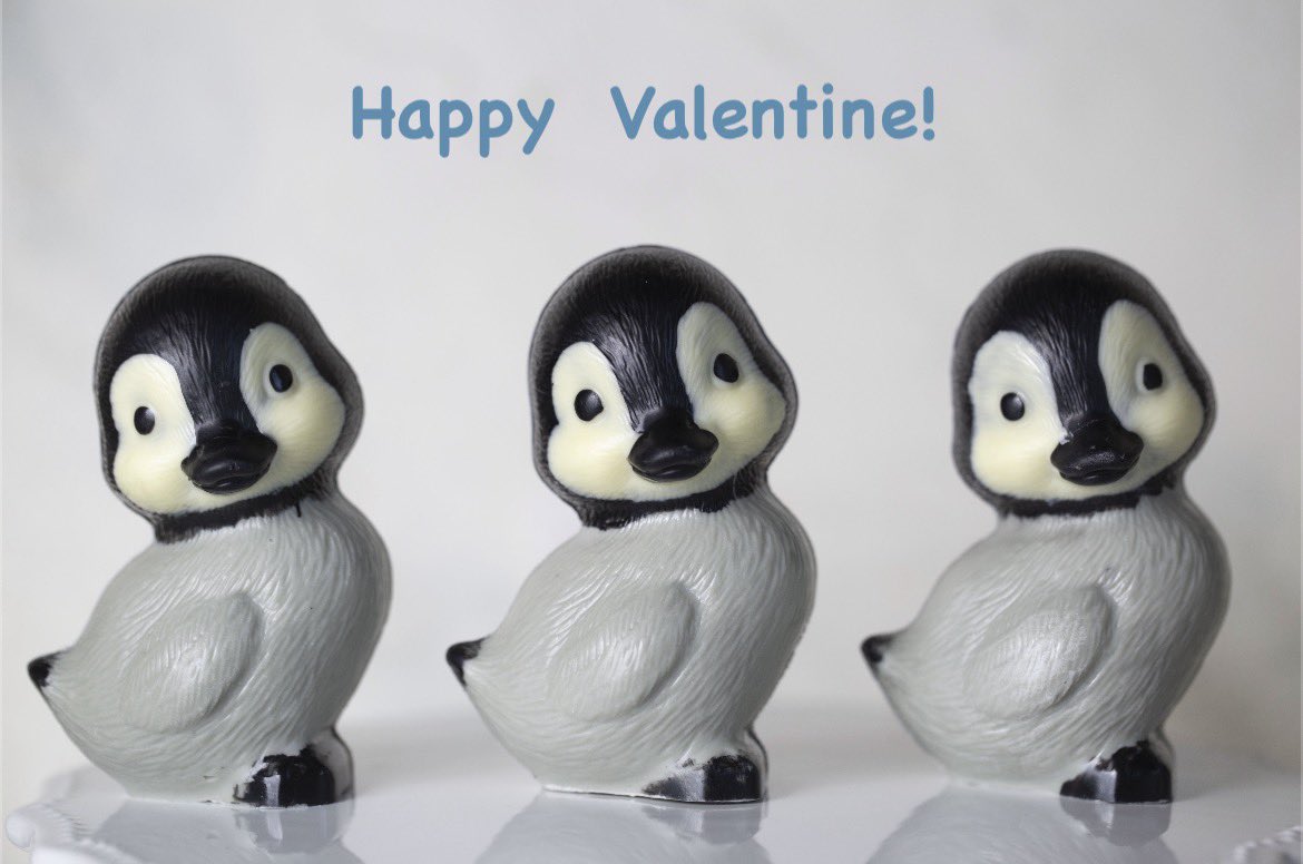 ぺんぎん705号 (@4rMv3u7Dyg2hC5R) / Posts / X