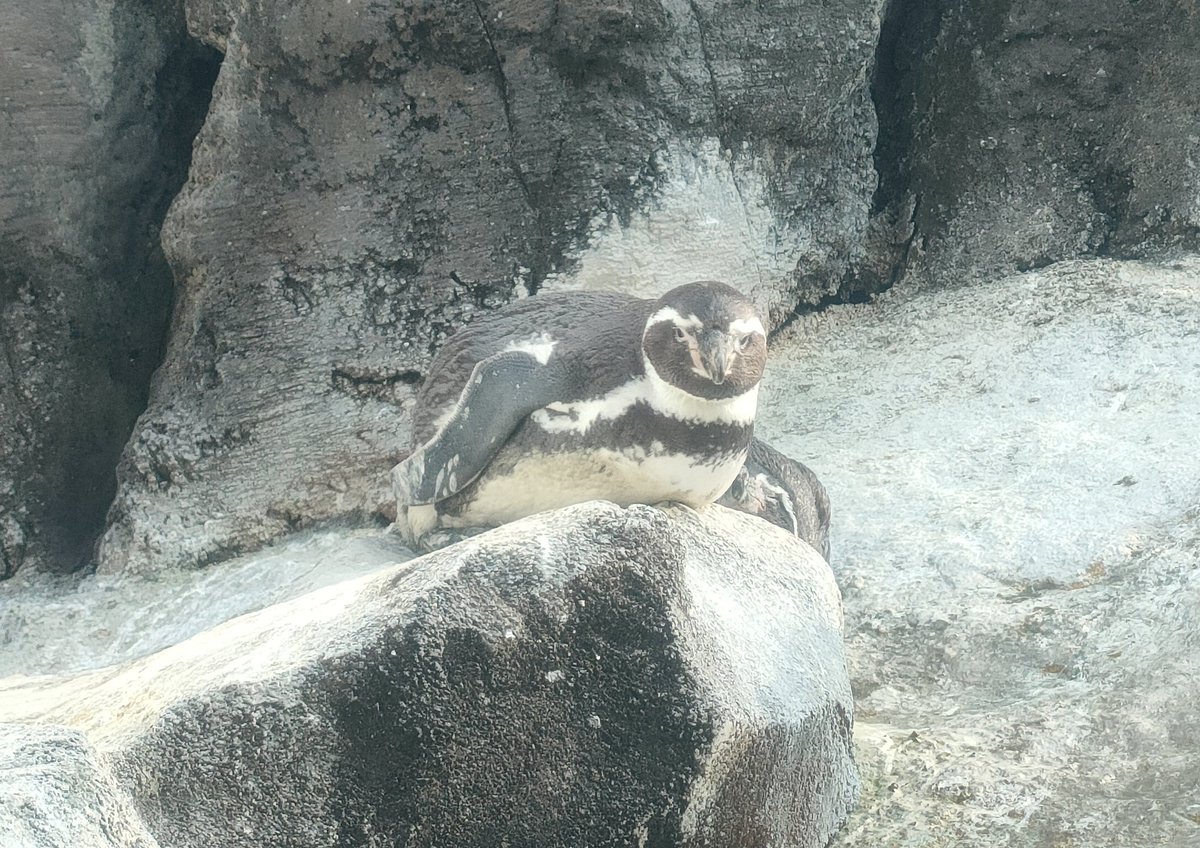 今日もルルちゃん