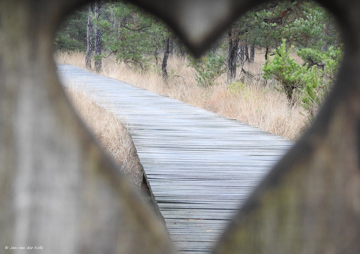 Bekiek Twente tweet media