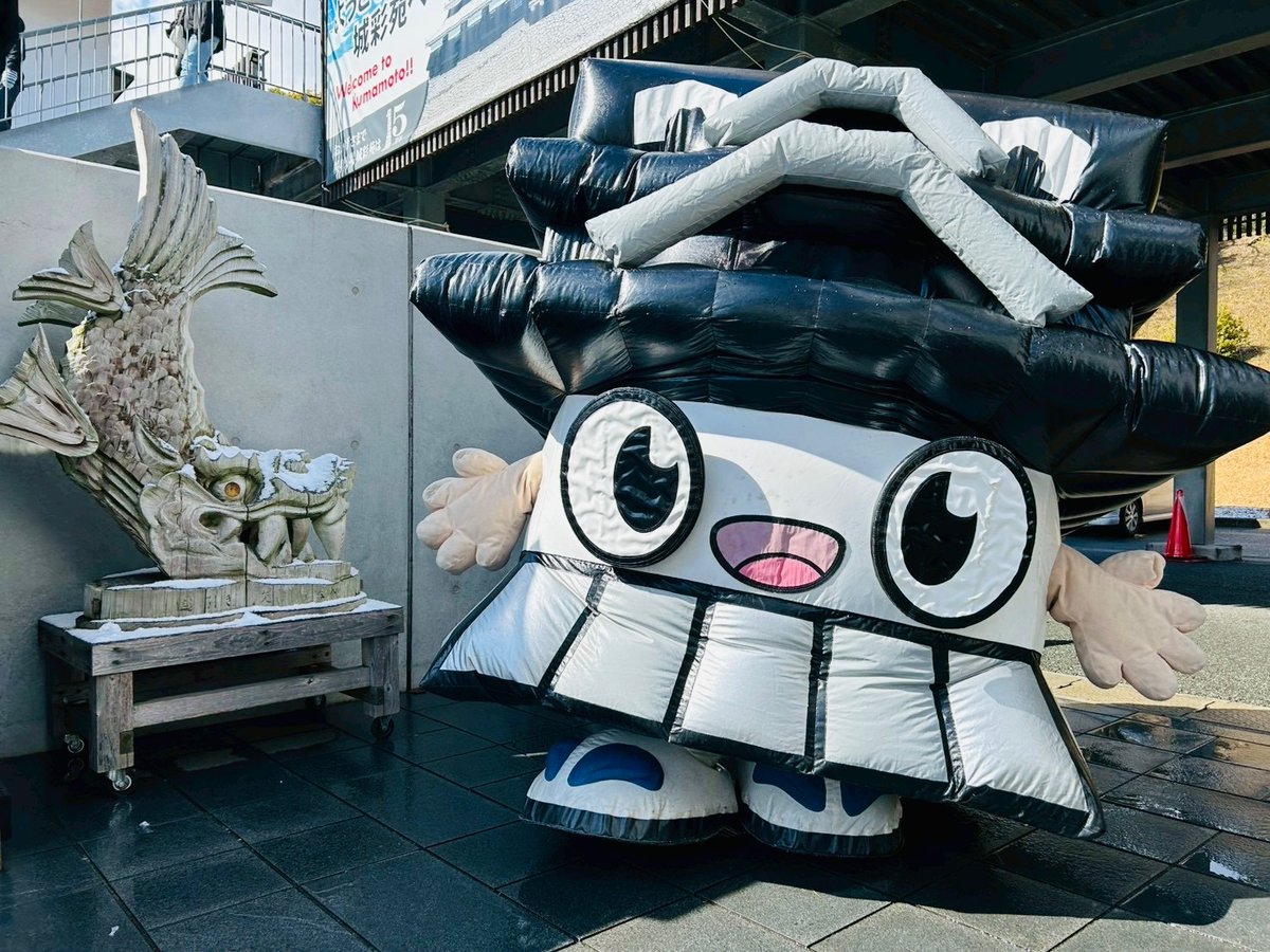 ひごまる【公式】 tweet media