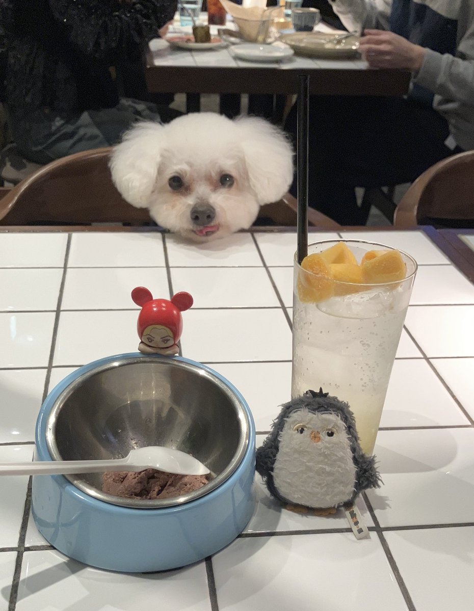 Happy Saturday!

Happy Valentine's Day💕