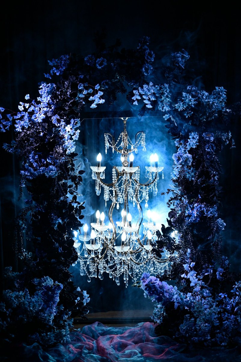 루나스 스튜디오 tweet media