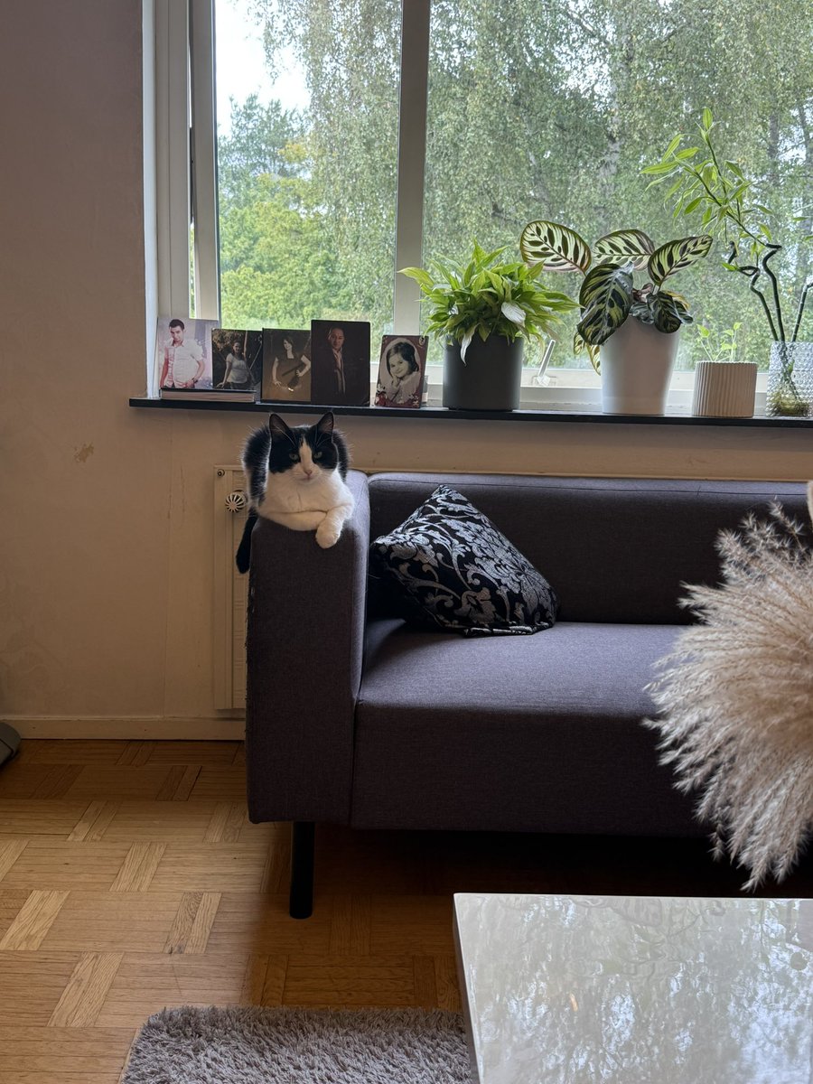 Ali Nablo tweet media