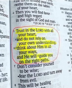 Bible 365 (@bible365_) on Twitter photo 