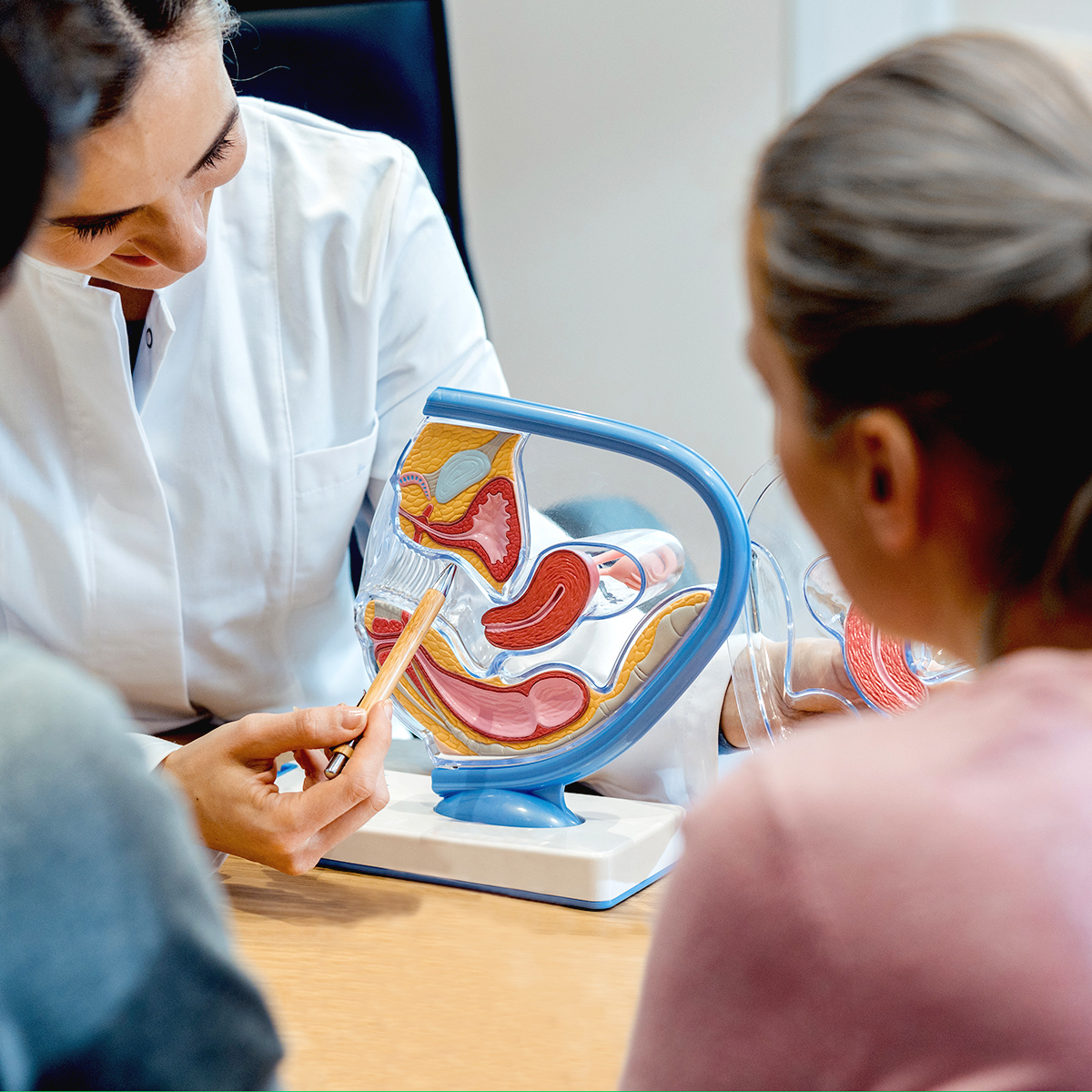 Potenciar el papel de las matronas en Primaria mejora los resultados en Salud Sexual

En el Día Europeo de la Salud Sexual reclamamos reforzar el papel de las matronas en #AtenciónPrimaria para promover una sexualidad saludable, segura y libre en todas las etapas de la vida ✊