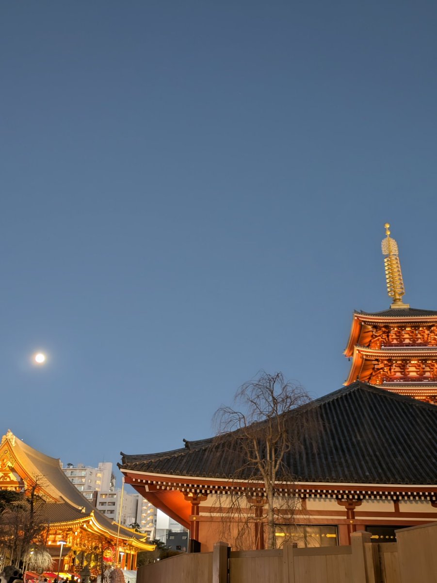Jshiori's tweet image. 【写真撮るだけ撮って投稿忘れてたシリーズ】
ゆふ空から
柚子のひとつを
もらふ
山頭火句
志織

#書道　#俳句　#calligraphy
