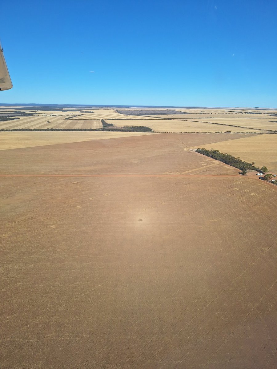 Sanderson Farms tweet media