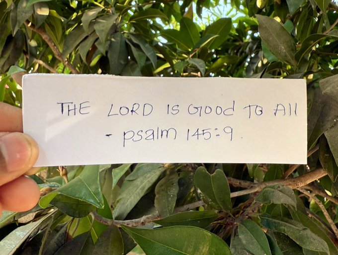 Bible 365 tweet media