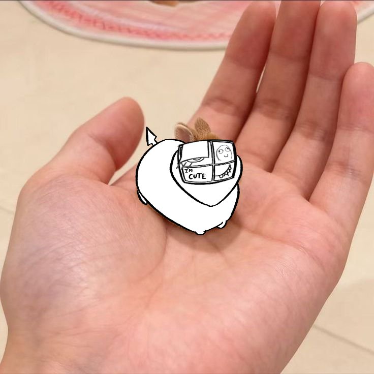 manno_jasm82795's tweet photo. I love Dolan!!! 

#Objectsatwork #Rabbit #minibunny #mini https://t.co/6nZHQMmpzi