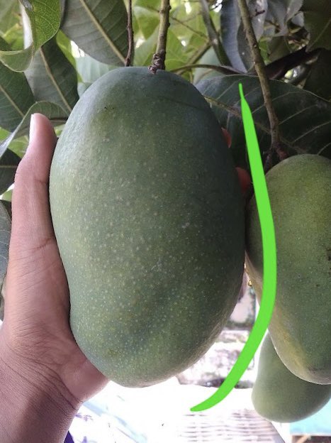 𓆟 𓆝 𝓒𝓲𝓶𝓲𝓽 𓆝 𓆟 tweet media