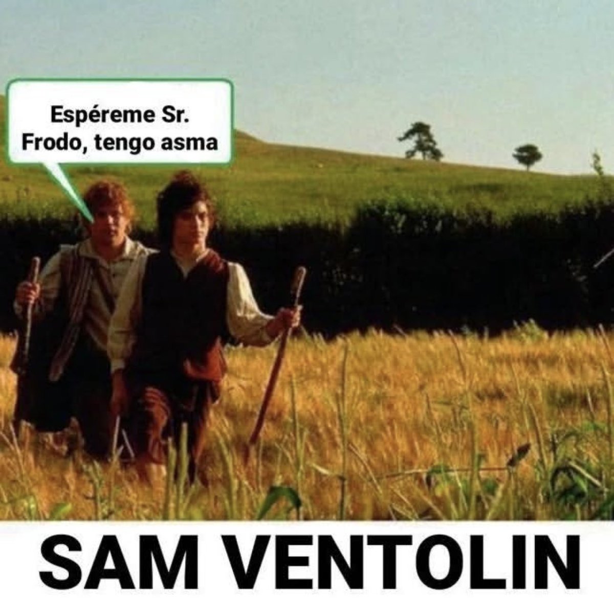 Soy Sam