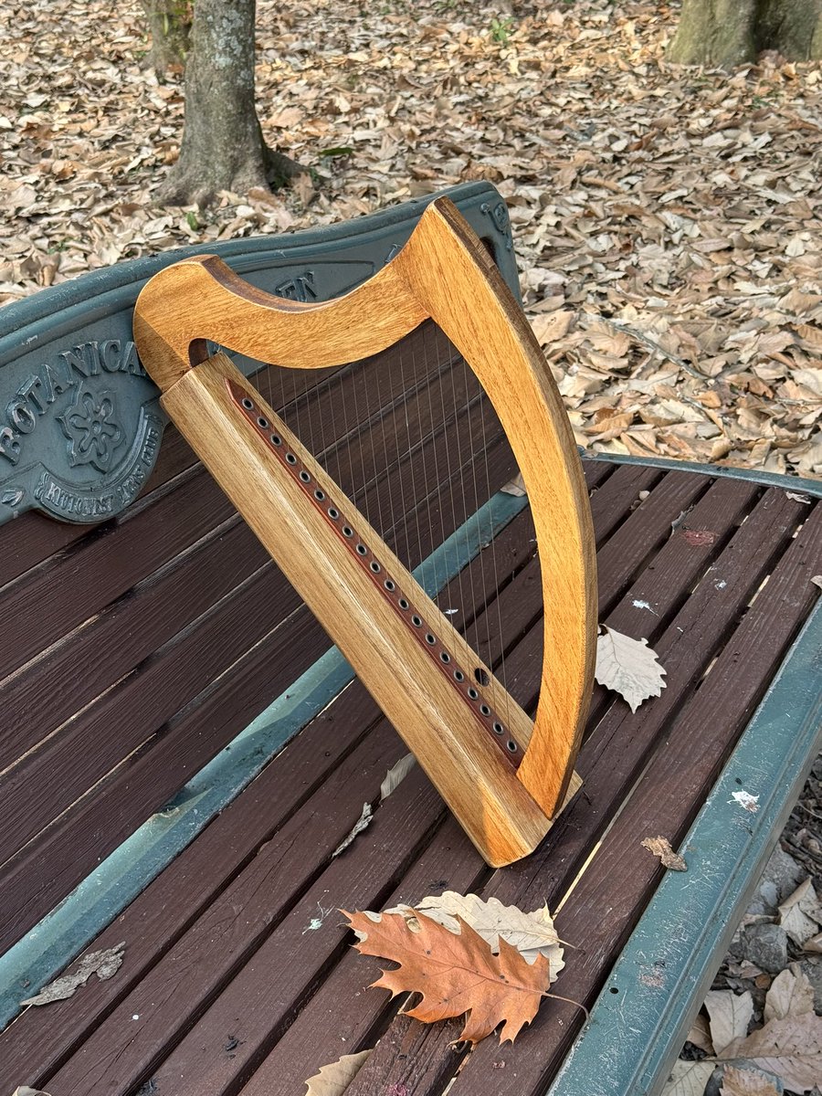 京都教室に展示中の20弦金属弦ハープ（op.177）をお買い上げいただき