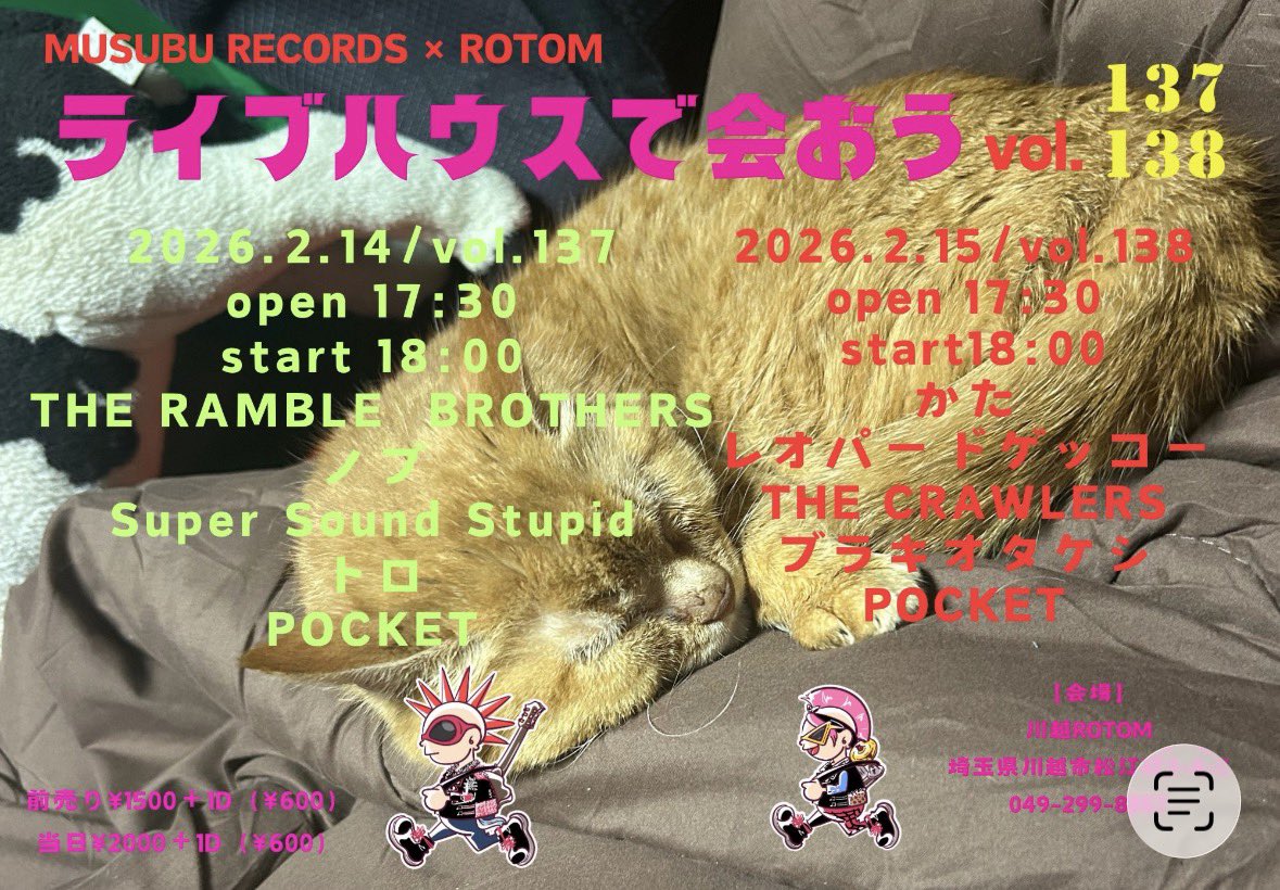 レオパード ゲッコー tweet media