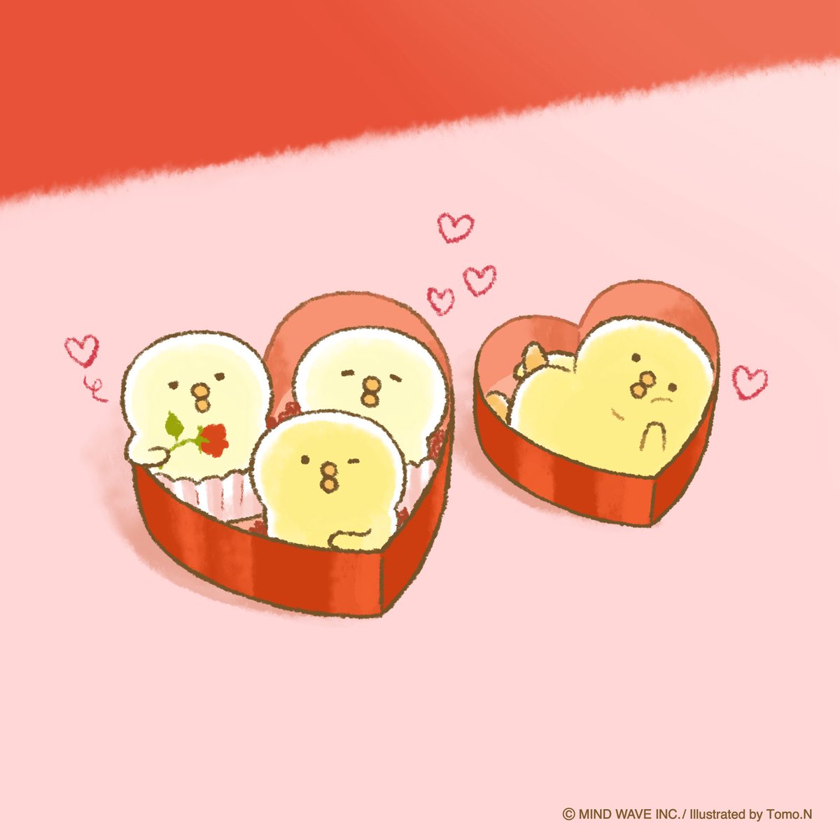 みんな〜♡ かわいいぴよこ豆をお家にお届けするから、おいしい