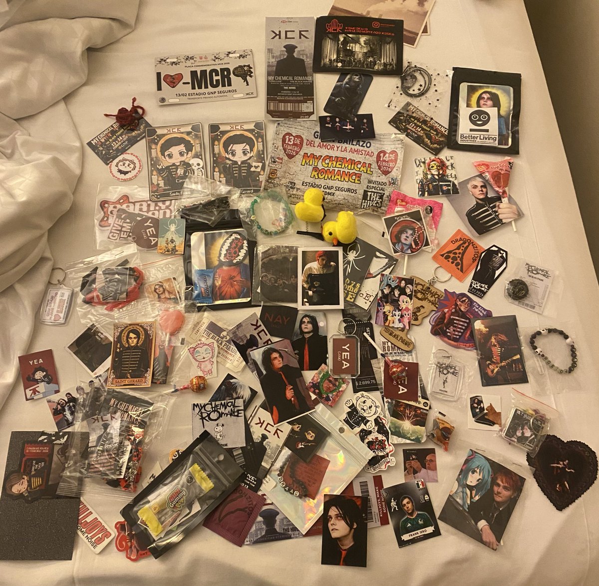 alex saw MCR live!! tweet media