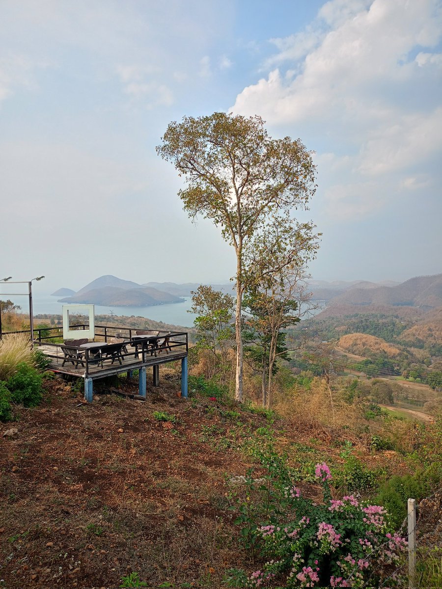 หาผัว ให้เมีย... tweet media