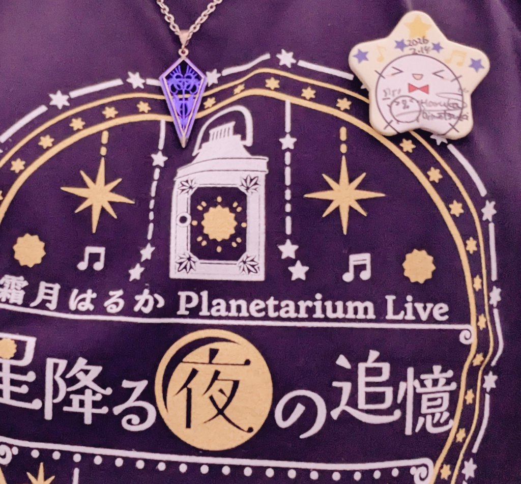 shimotsukin20th E ロングスリーブTシャツ E 星型缶バッジ(直筆サイン入り)