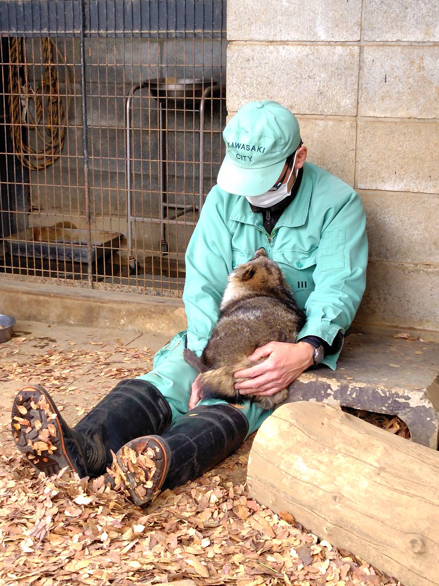 バレンタインデーにゲンマイさんが幸せそうで良かった