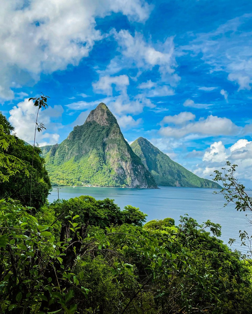 Travel Diaries tweet media