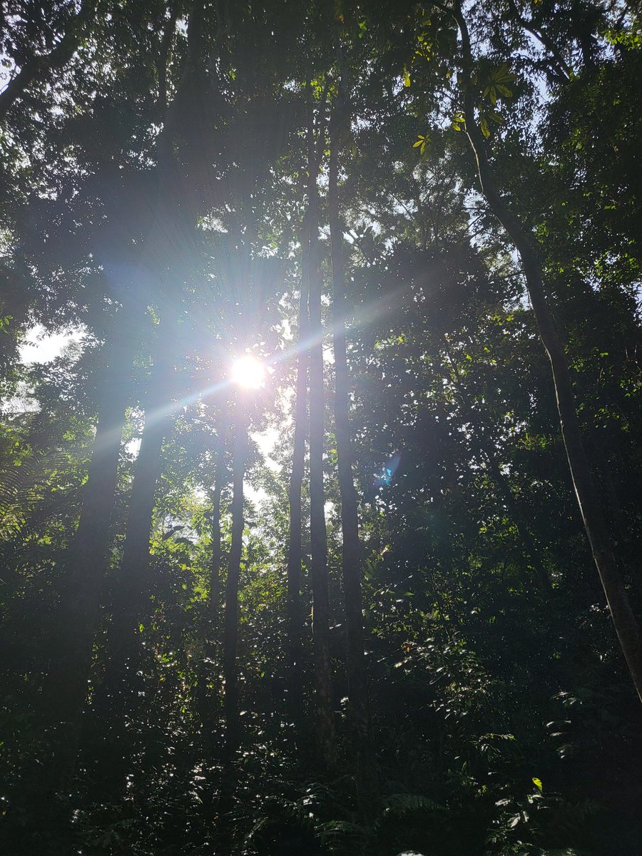 NeahtAntares's tweet photo. 5TH HIKE?!?! WHADDYA MEANNN??? 🤪 https://t.co/yArBxy7NtG
