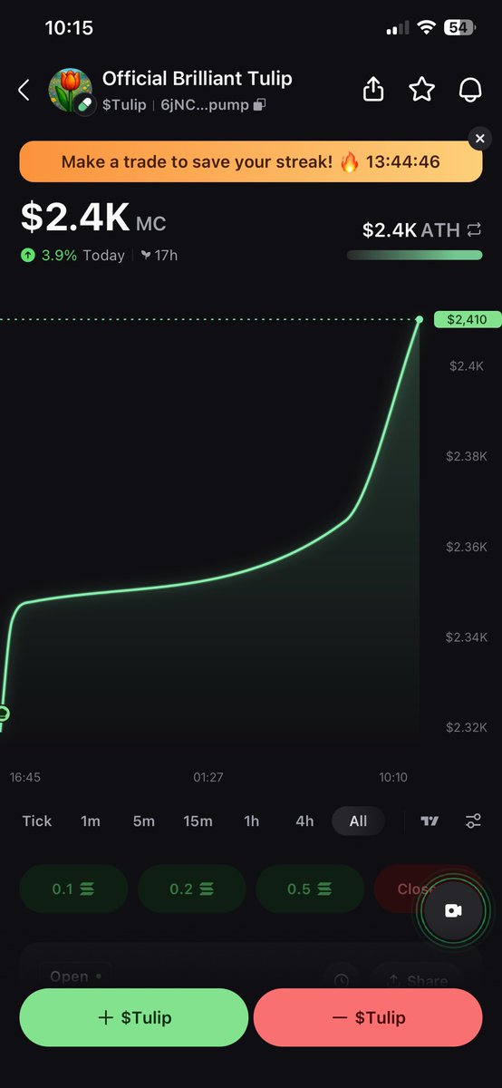 Brilliant Tulips tweet media