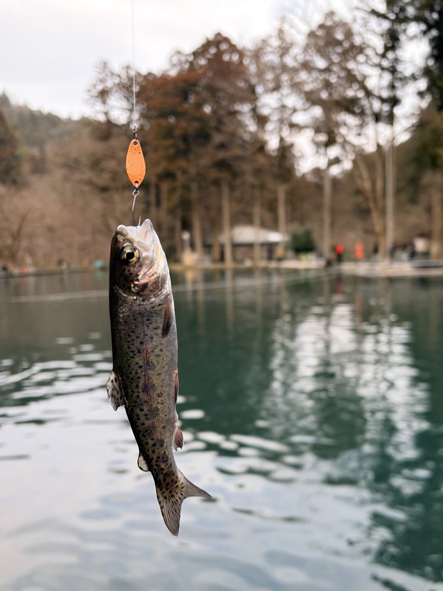 ねぎとろG tweet media