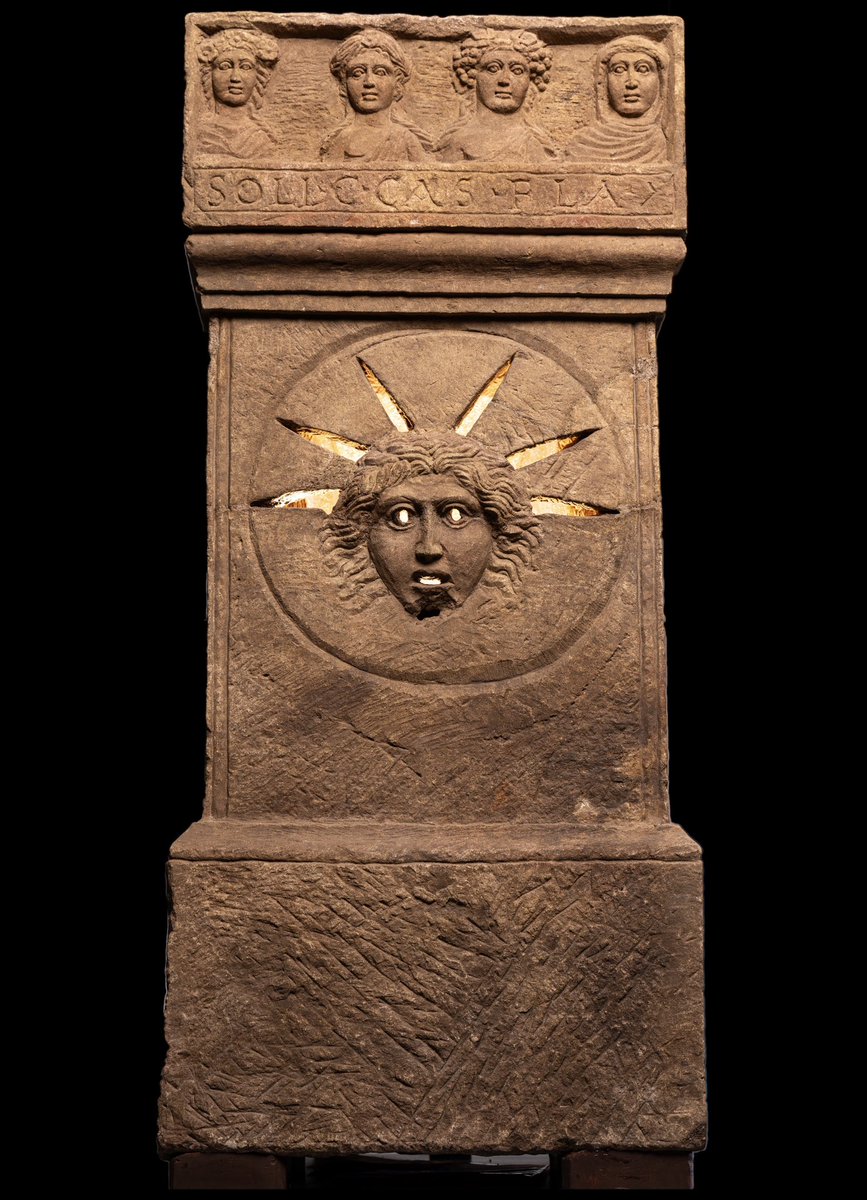 Gareth Harney tweet media