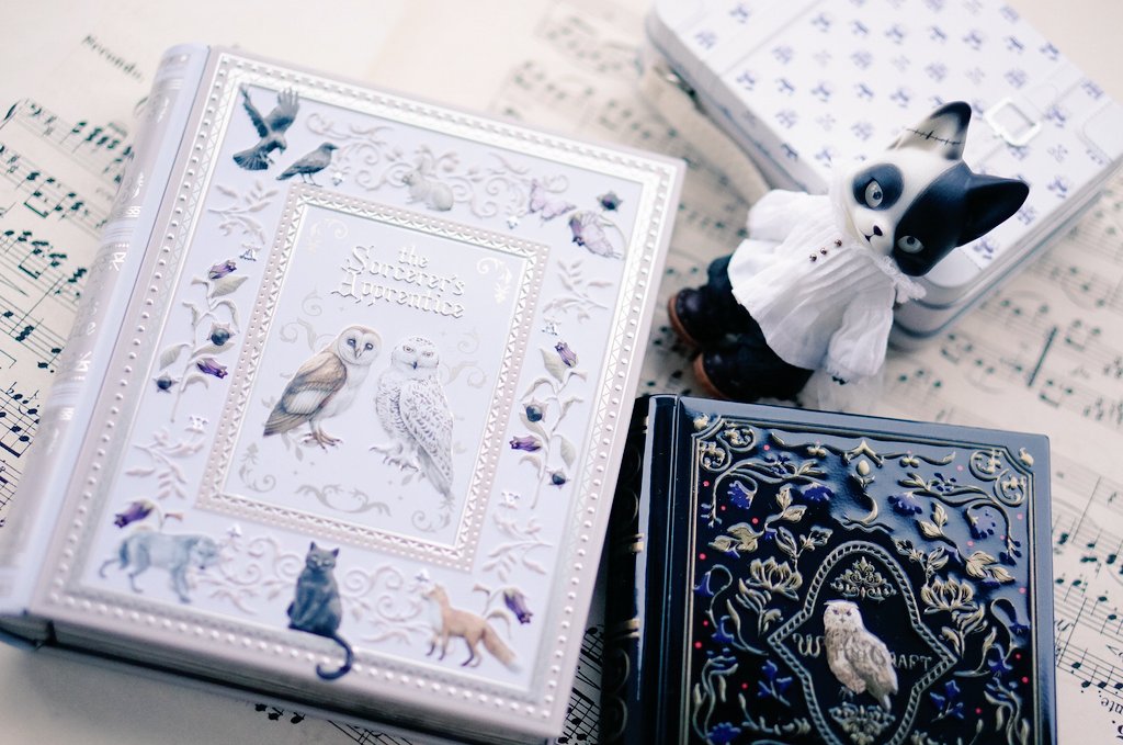 本型の缶、前もカルディで買ってたよ😳
何に使う訳じゃないんだけど、本型の缶に弱い💦