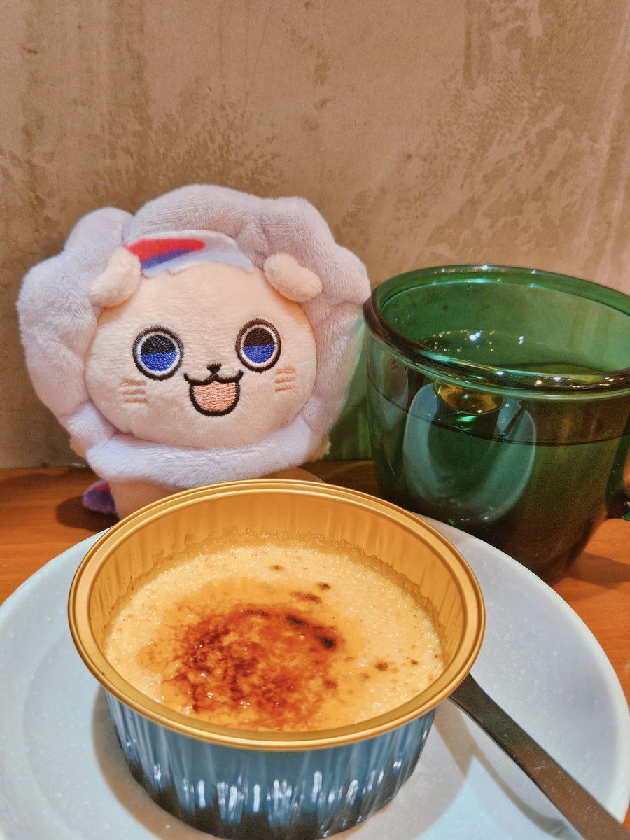 Treee2_0's tweet photo. 一緒にプリンを食べよう！

#ろふまる成長記録 https://t.co/wwcFuKieXC