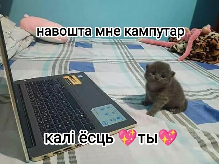 KotdeKot's tweet photo. https://t.co/rtmhMIES8z